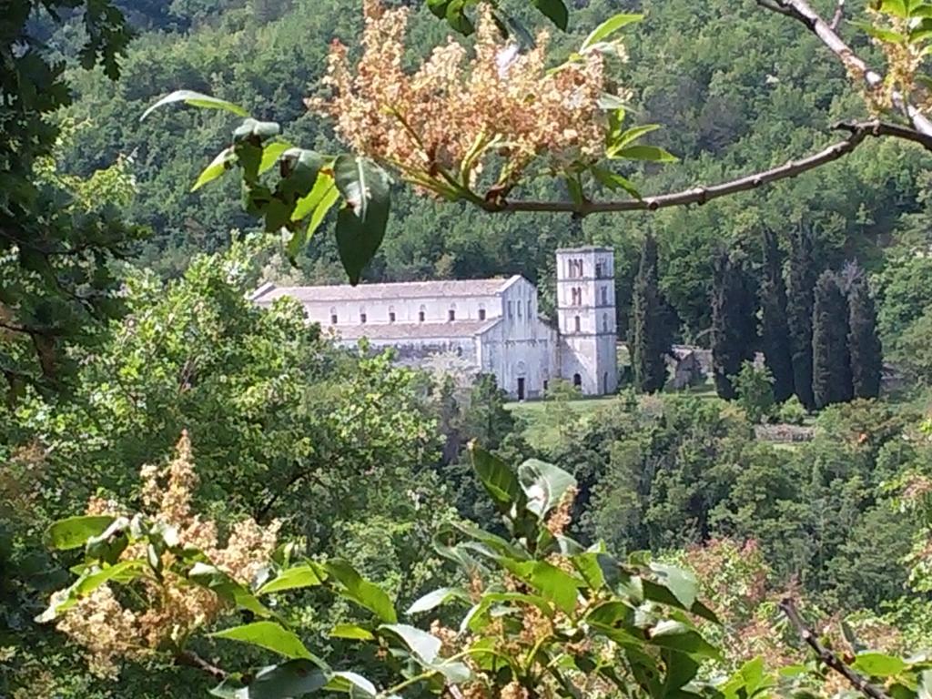 Le Pietre Ricce B&B Roccamontepiano Exterior foto